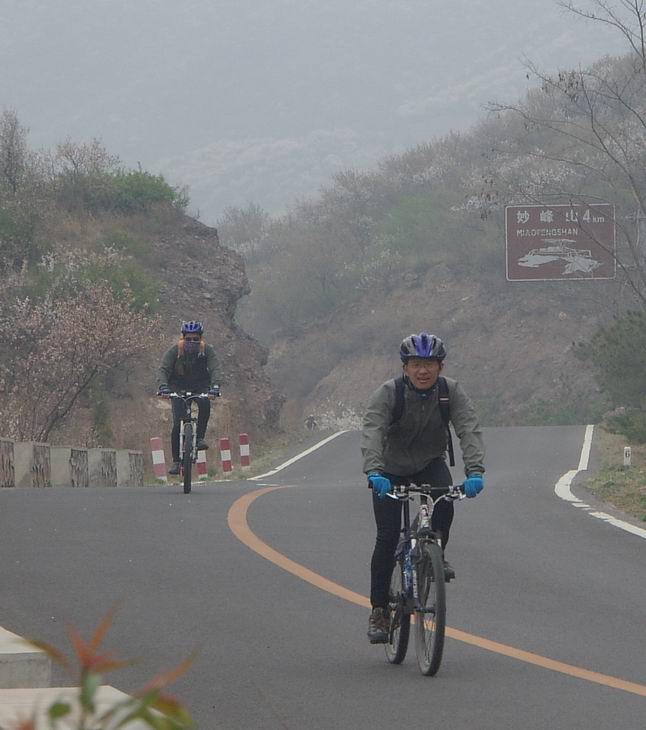 左手和老林下山了