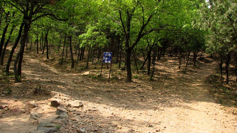 岔路.jpg