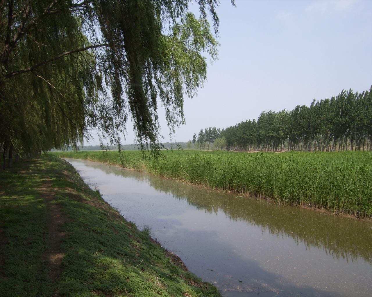 湿地：风景这边独好