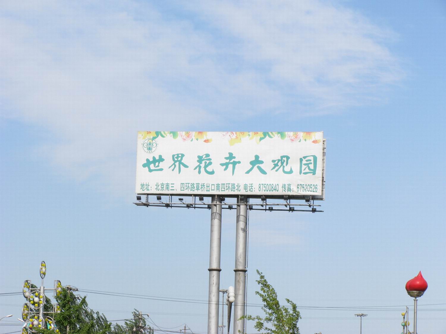 看花，摄影来这