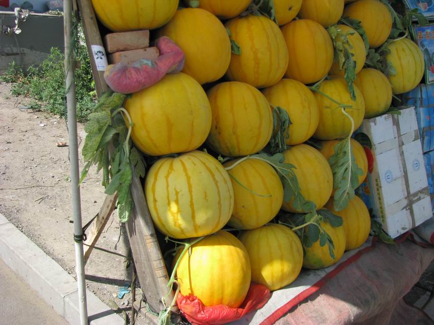 庞各庄的大西瓜，黄颜色的，据说是去年的新品种，买了一个12斤的，1.5元一斤，一直背到涿州 ...