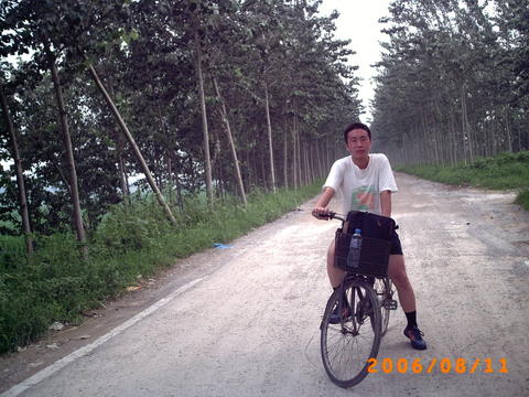 中午休息 林间道路 挺凉爽