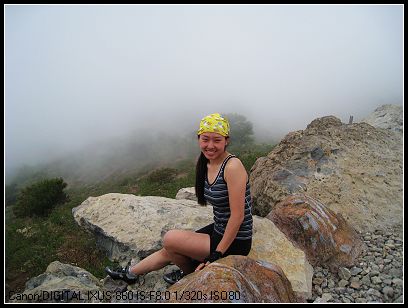 “盛开的玫瑰”