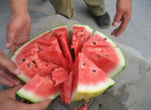 6月8日阳台山 073.JPG