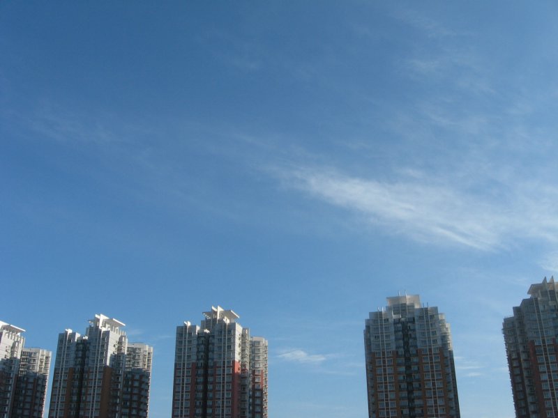 早上写来，在家拍的，大晴天啊...