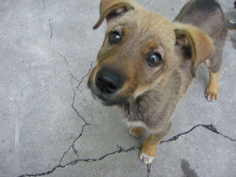 我手里有士力架...哈哈...