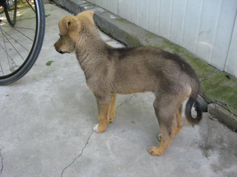 不给我吃,生气了...