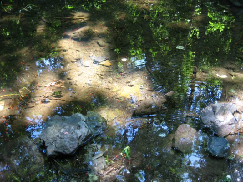 谁说水至清则无鱼,睁大双眼好看看哈...