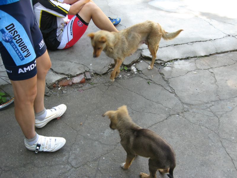 还是这个欧利好...