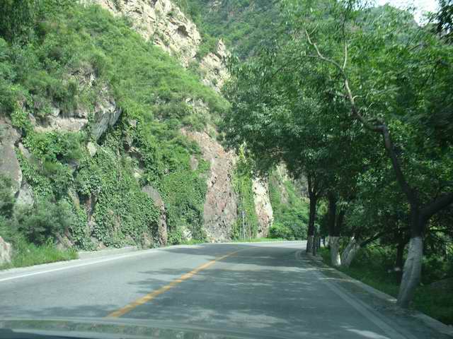 调整大小 IMG_0298.jpg