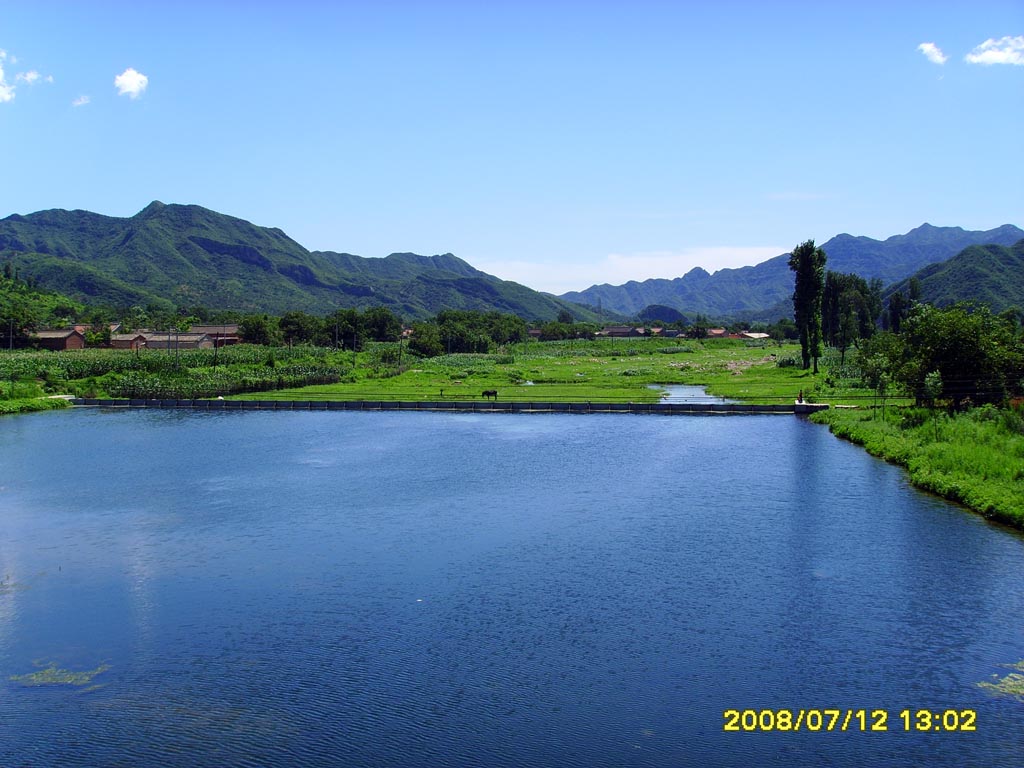 路上的一条河，看到驴了吗