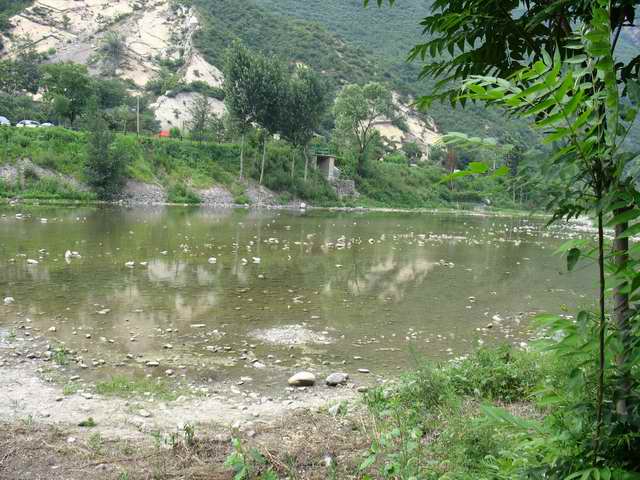 调整大小 IMG_0296.jpg