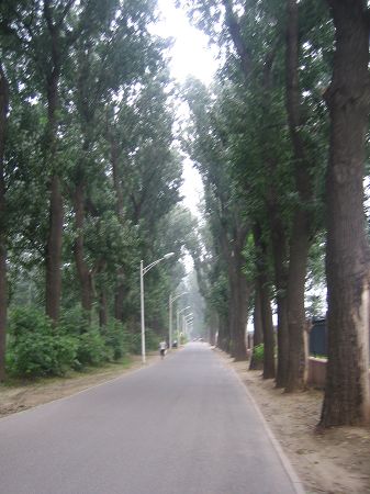 玉泉山西路.jpg