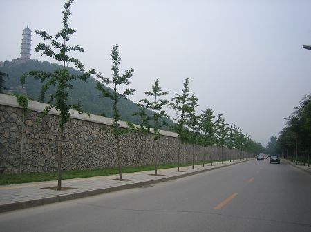 玉泉山东路.jpg