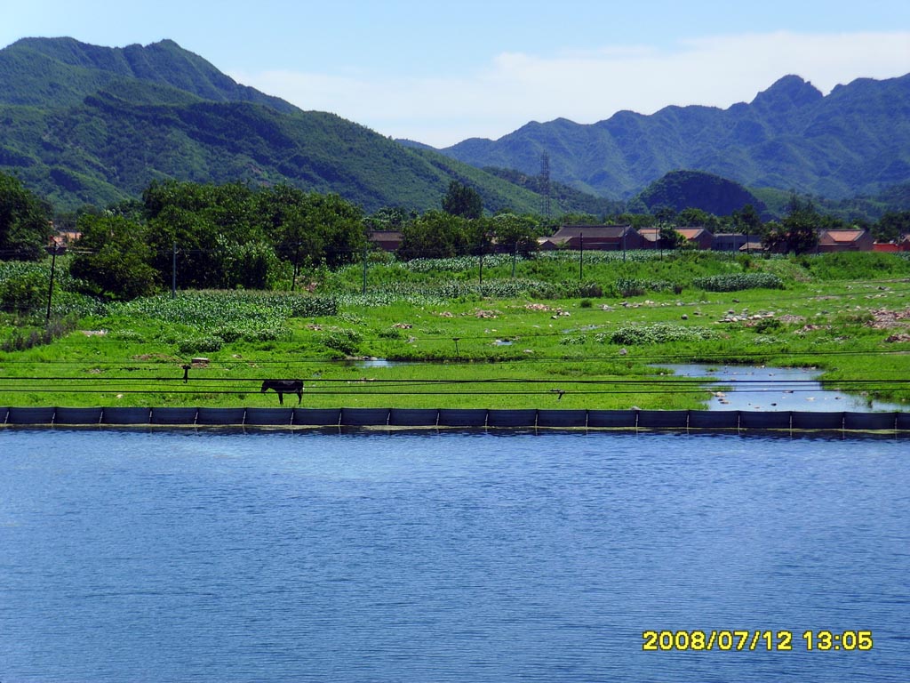 水边的阿蒂驴斯