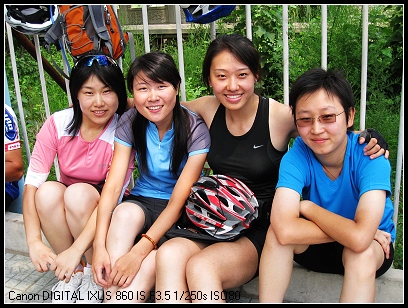 左到右依次为：小鹿、晴天、野玫瑰、立冬