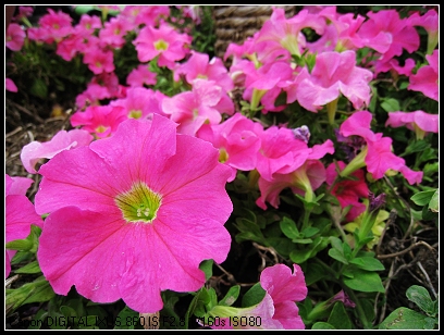 照片 074_nEO_IMG.jpg