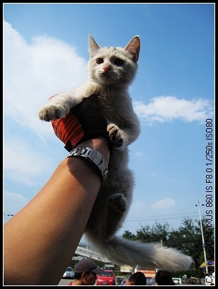 照片 059_nEO_IMG.jpg