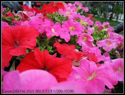 照片 075_nEO_IMG.jpg