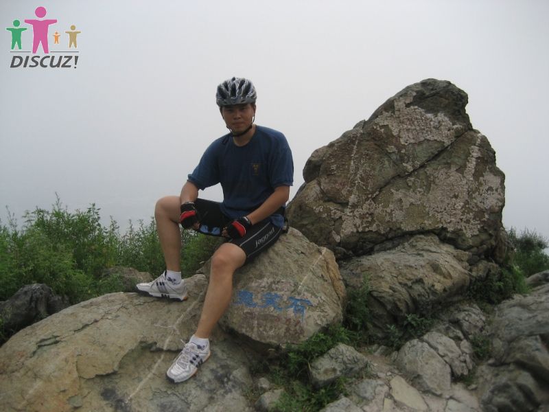 蚂蚁（想不到竟然已经有崽）