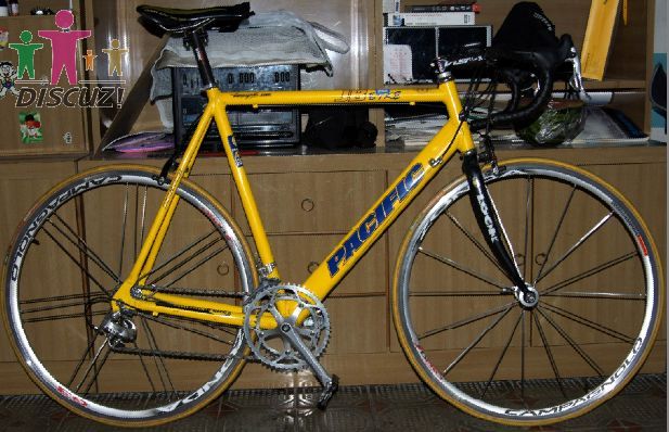 出：公路车 CAMPAGNOLO