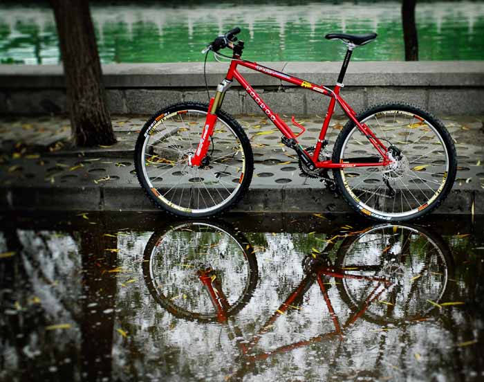 VOODOO 整车 （出了）