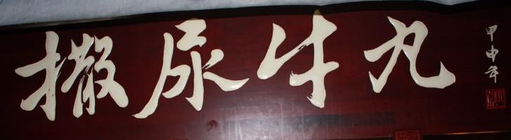 好像是外来品种