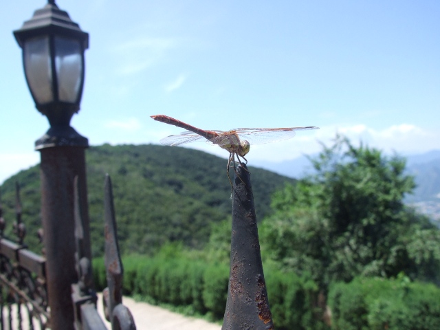 看我这呆着多有水平