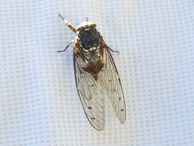 还是呆着好啊，舒服