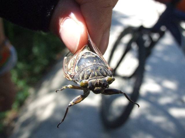 让你飞，让你飞!