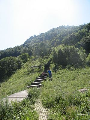 62 白草泮到百花山的路.jpg