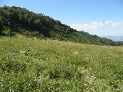 65 百花山草甸.jpg