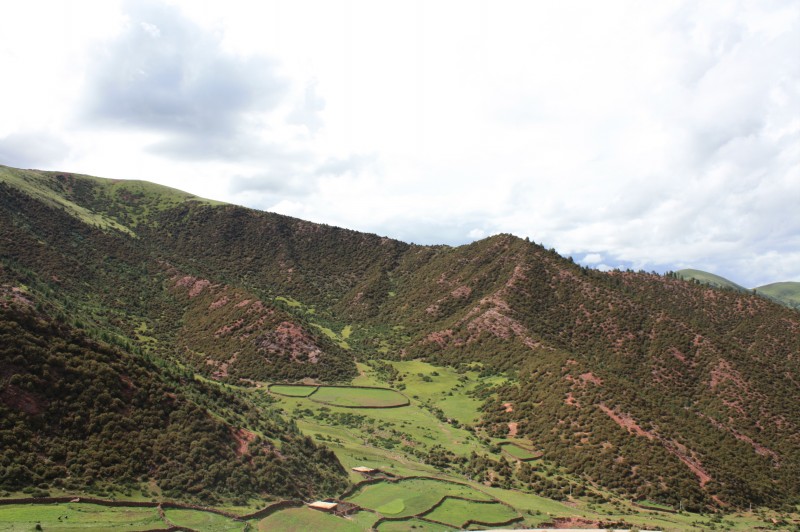 芒康到拉乌山上的路上看到有很多草地被围了起来