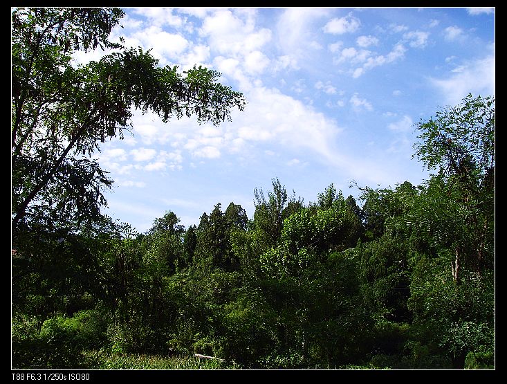 天气不错，风和日丽