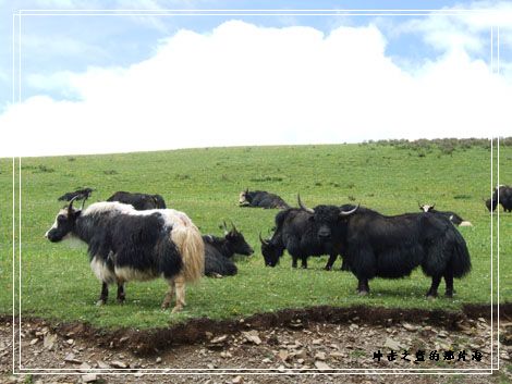 B2008-7-10 成都-拉萨0010.jpg