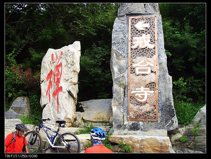 这字还有点意思