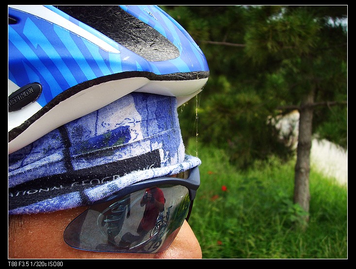 赢的代价就是一头蜘蛛网