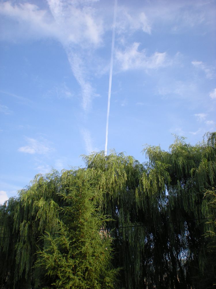 D3-3 蓝天绿树_nEO_IMG.jpg