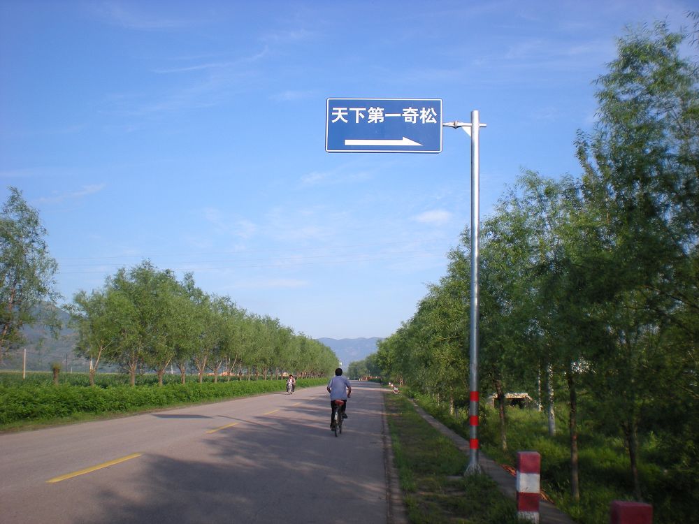 D3-7 如牌_nEO_IMG.jpg