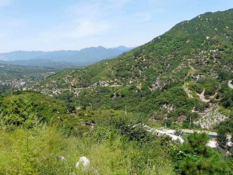 调整大小 调整大小 P1000963.JPG