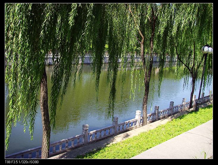 阳光明媚可不是忽悠人