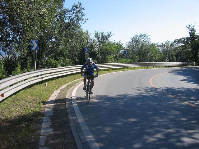 蟹爪兰这姿势，怎么样？专业吧！