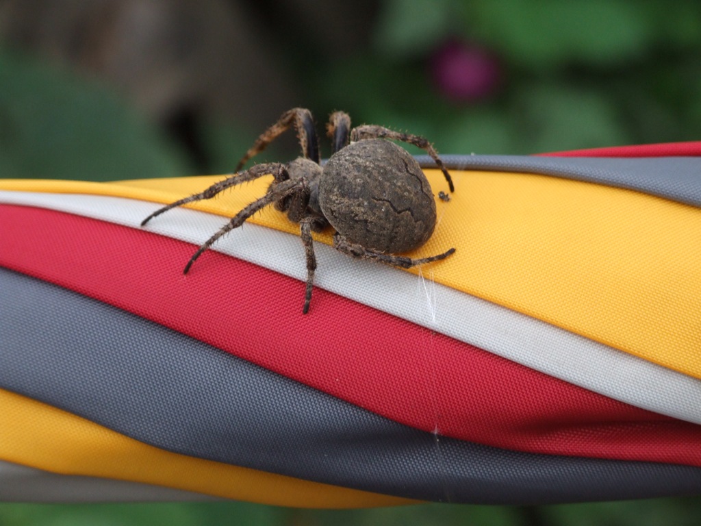 这种用功也是无效的