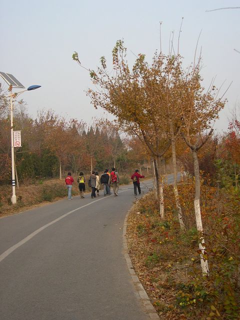 等到秋风起，秋叶落成堆，能陪你一起爬山也无悔