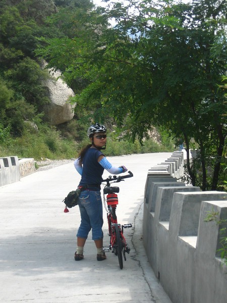 回头 的  小猪猪