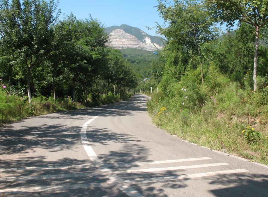 这坡看着极爽，唉，可惜中途有几个减速带