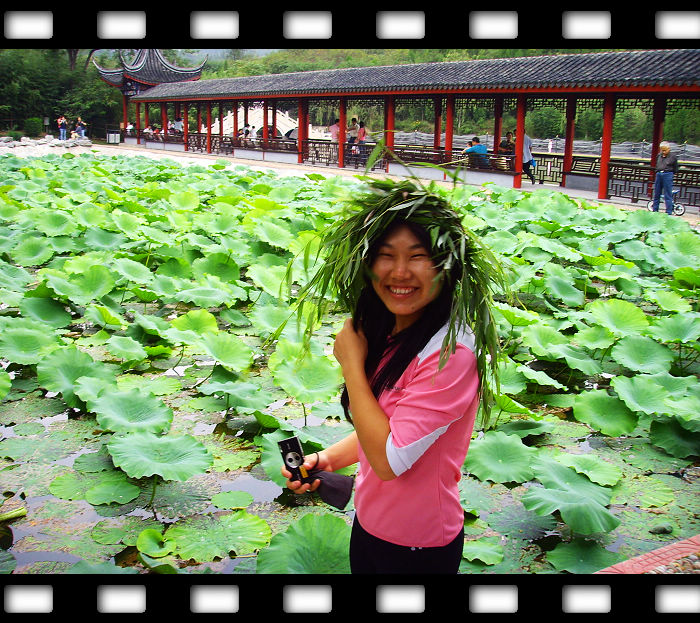 我拍的小鹿肯定不是灵异照片