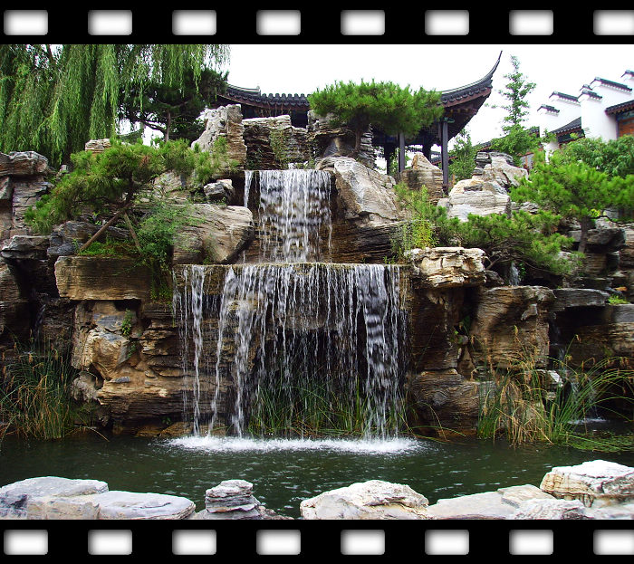 门口的小水景，里面还有活蛤蟆