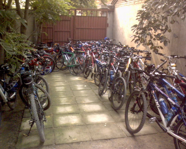 密密麻麻的车海