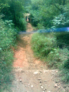 跳台从上面拍的!